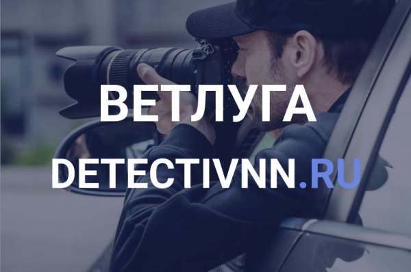 Помощь частного детектива в Ветлуге, Нижегородская область